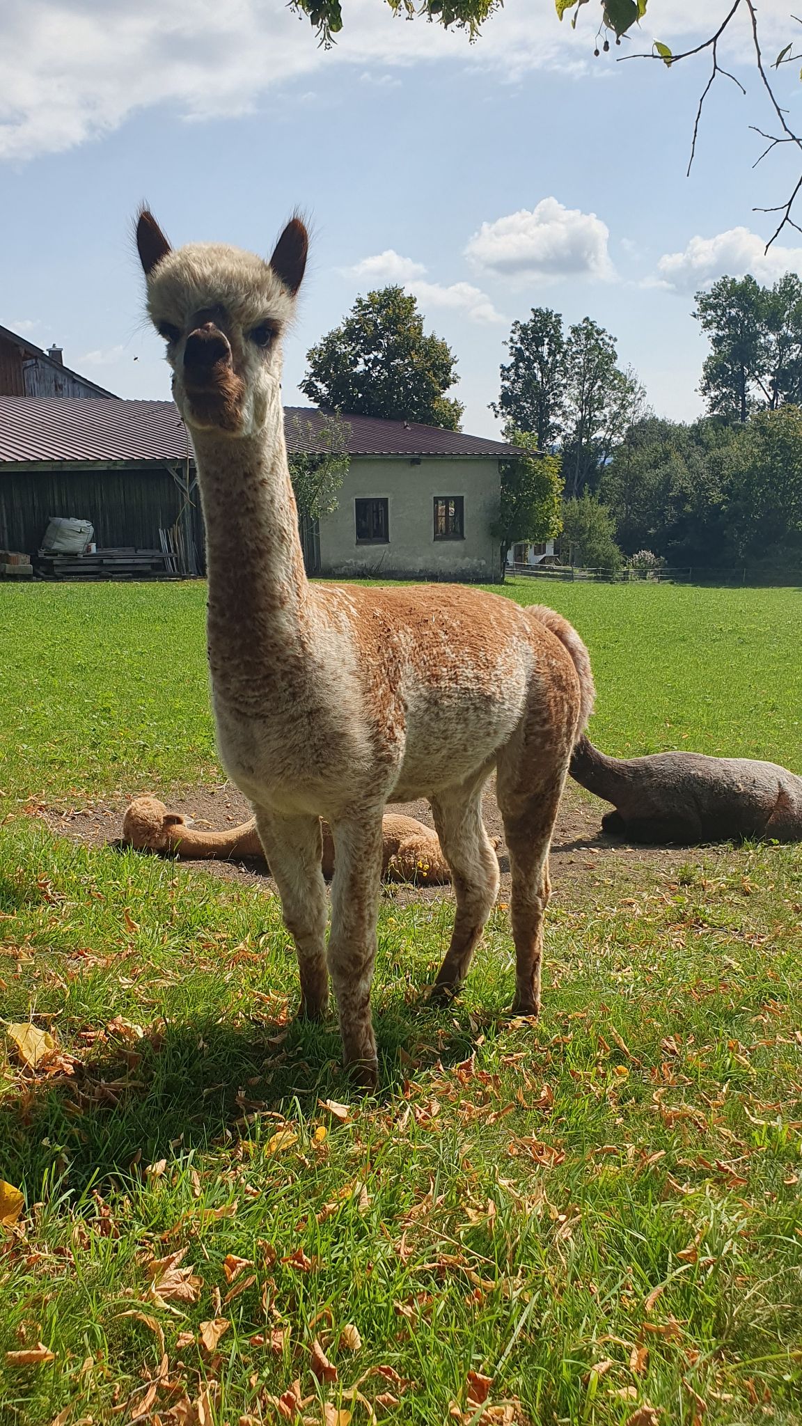 20230823 114235(0)Updated