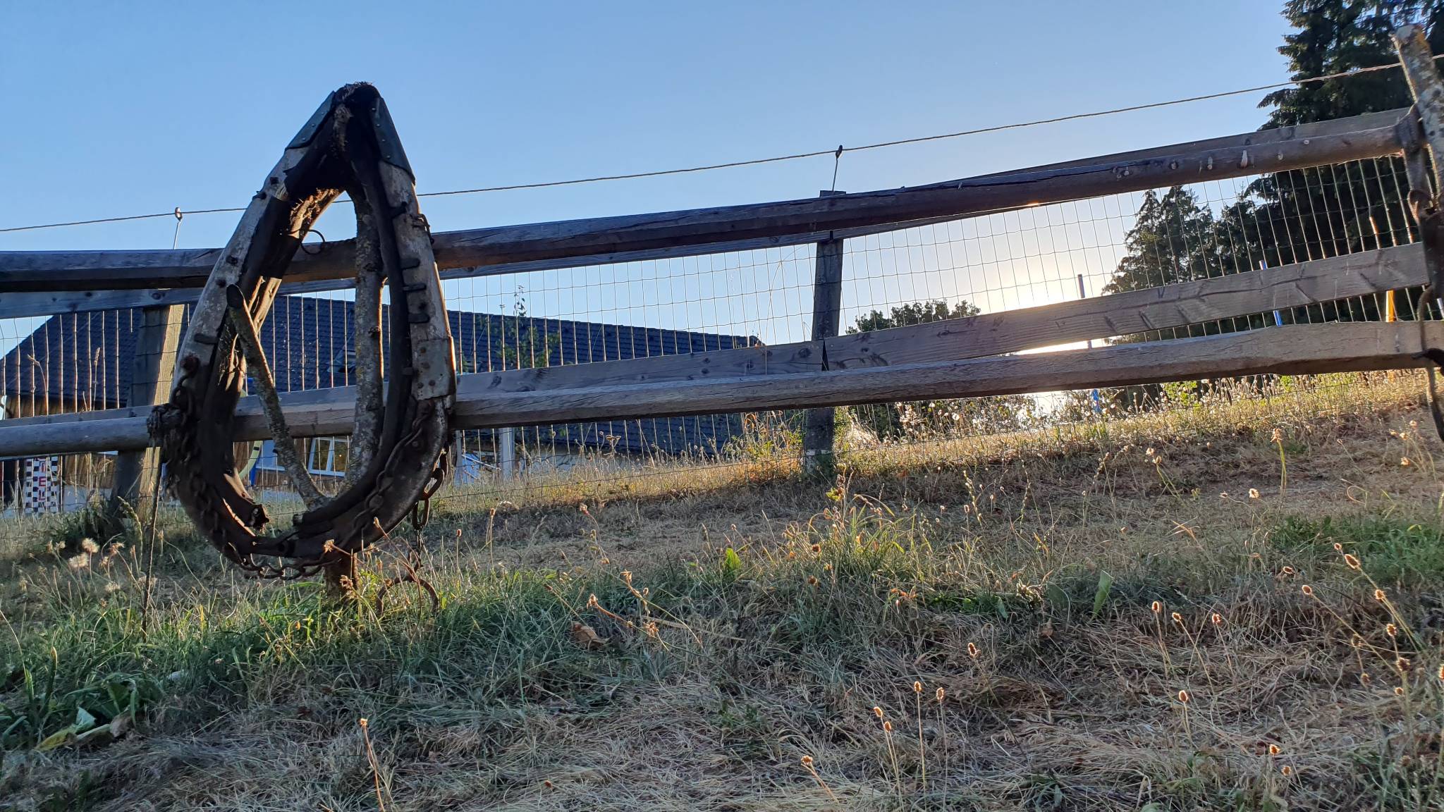 20260813 185417