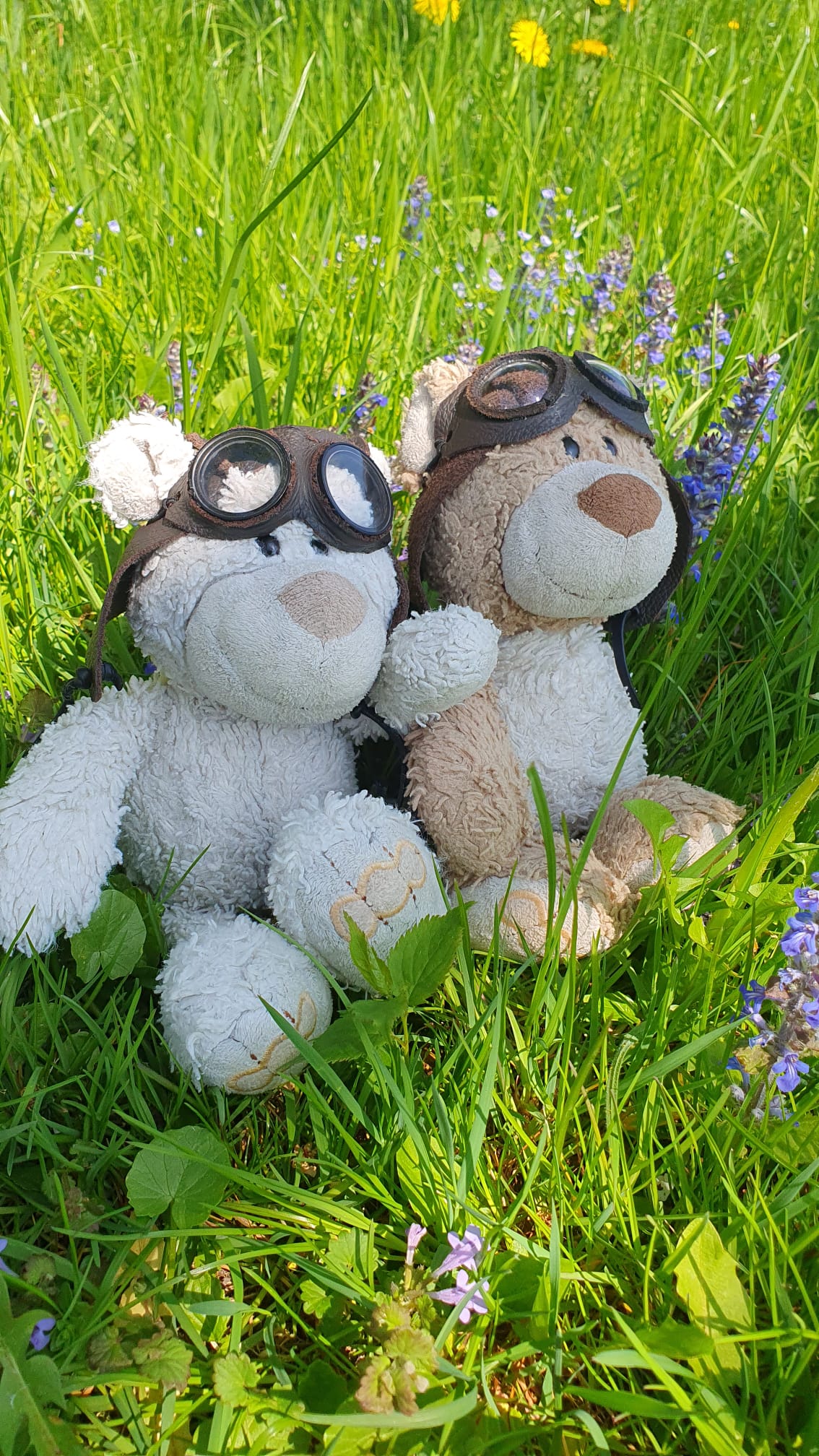 IMG 20250417 WA0003(1)