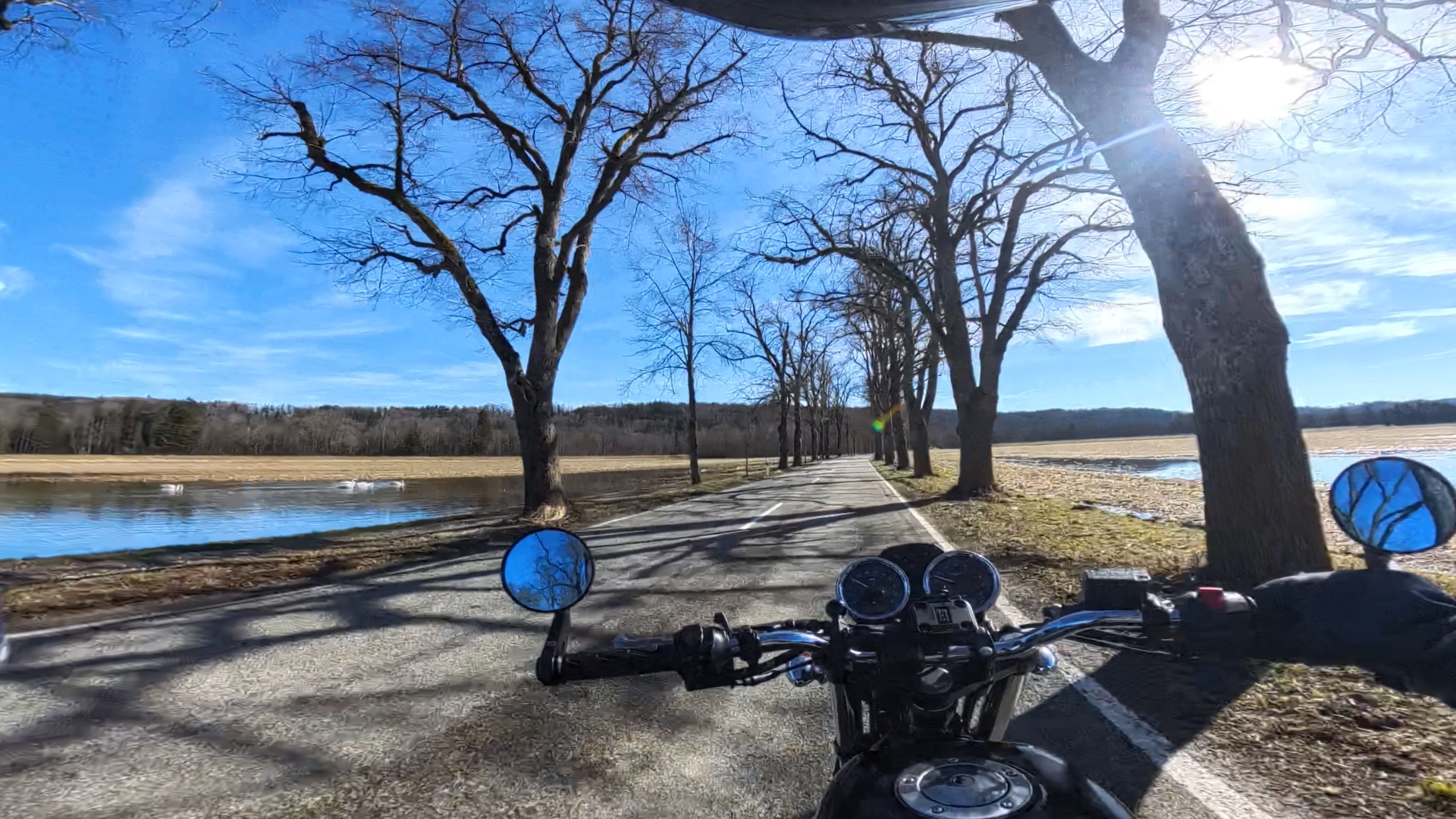 PRO VID 20260226 124314 00 003 2026 02 26 20 32 13 screenshot