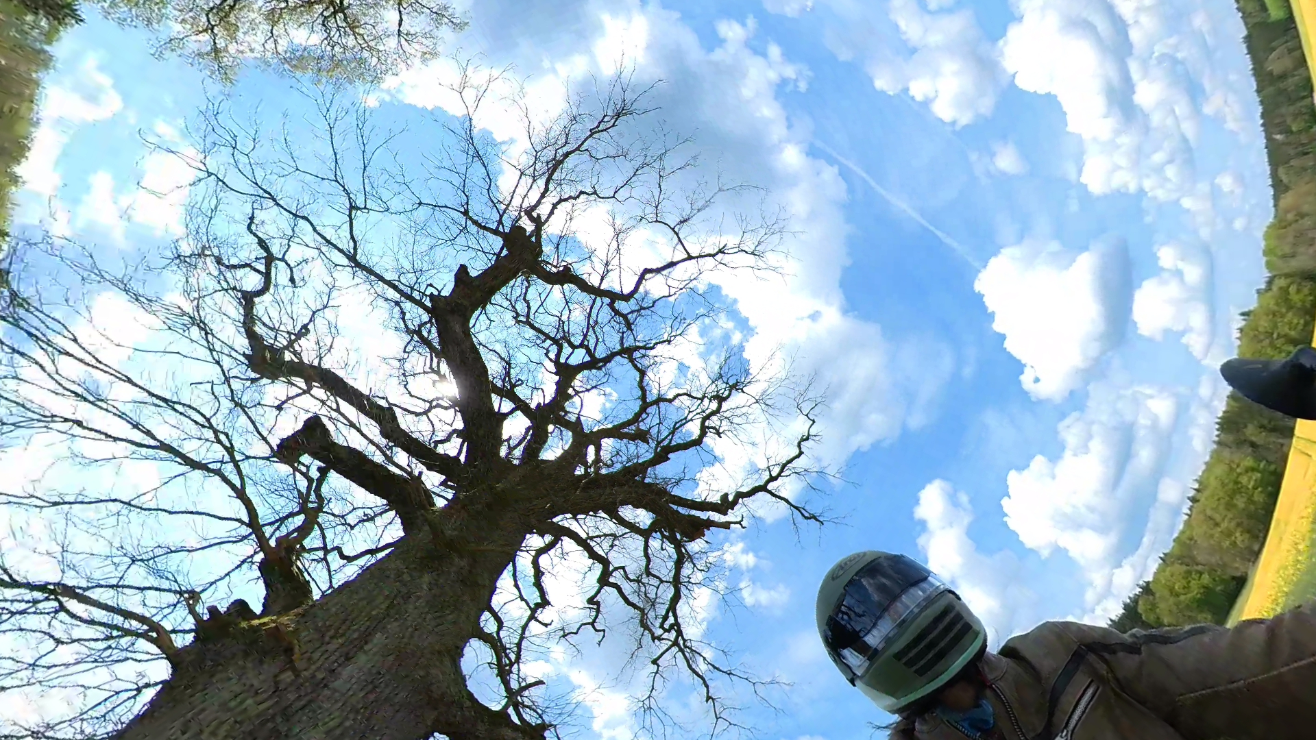 VID 20230329 203703 00 002 2023 05 05 17 15 03 screenshot