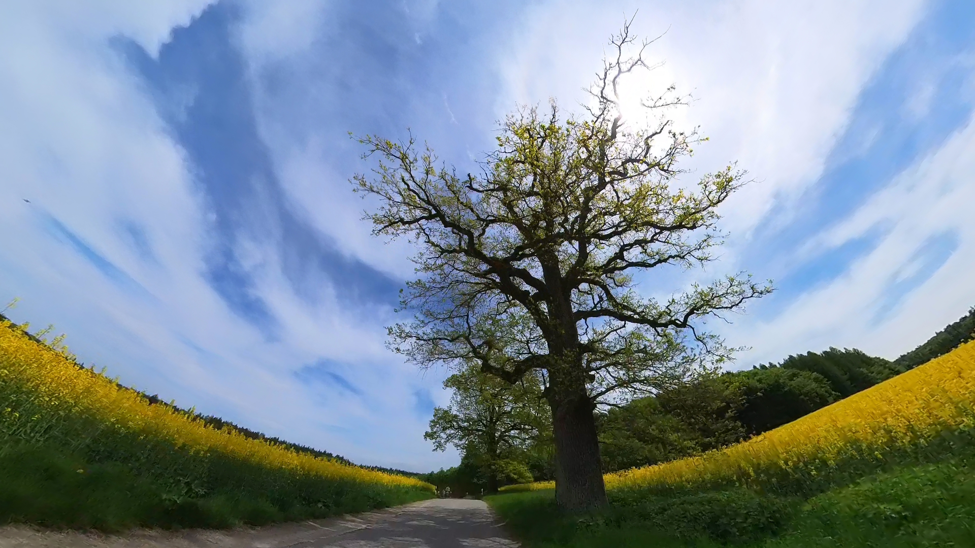 VID 20230520 131626 00 002 2023 05 20 18 27 24 screenshot