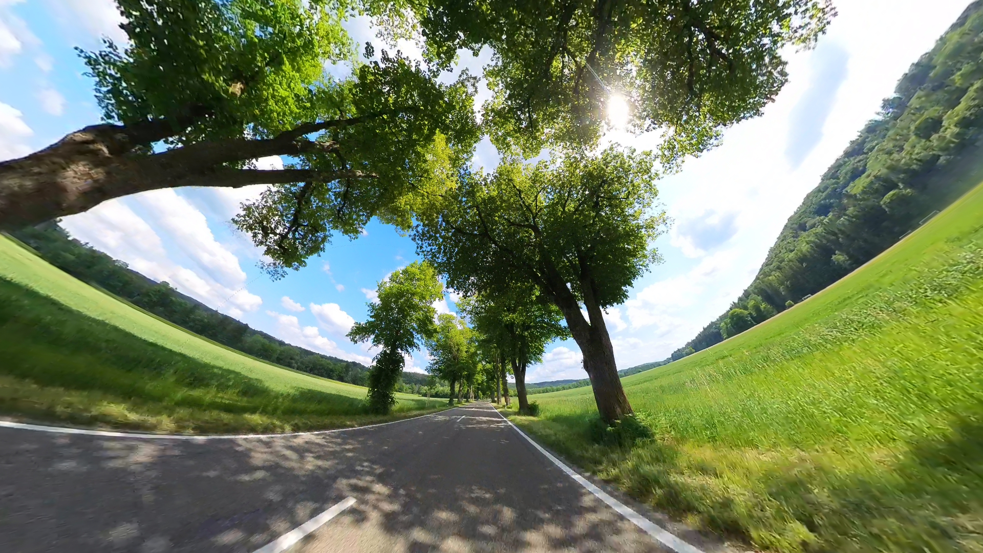 VID 20230606 153438 00 004 2023 06 06 17 56 46 screenshot