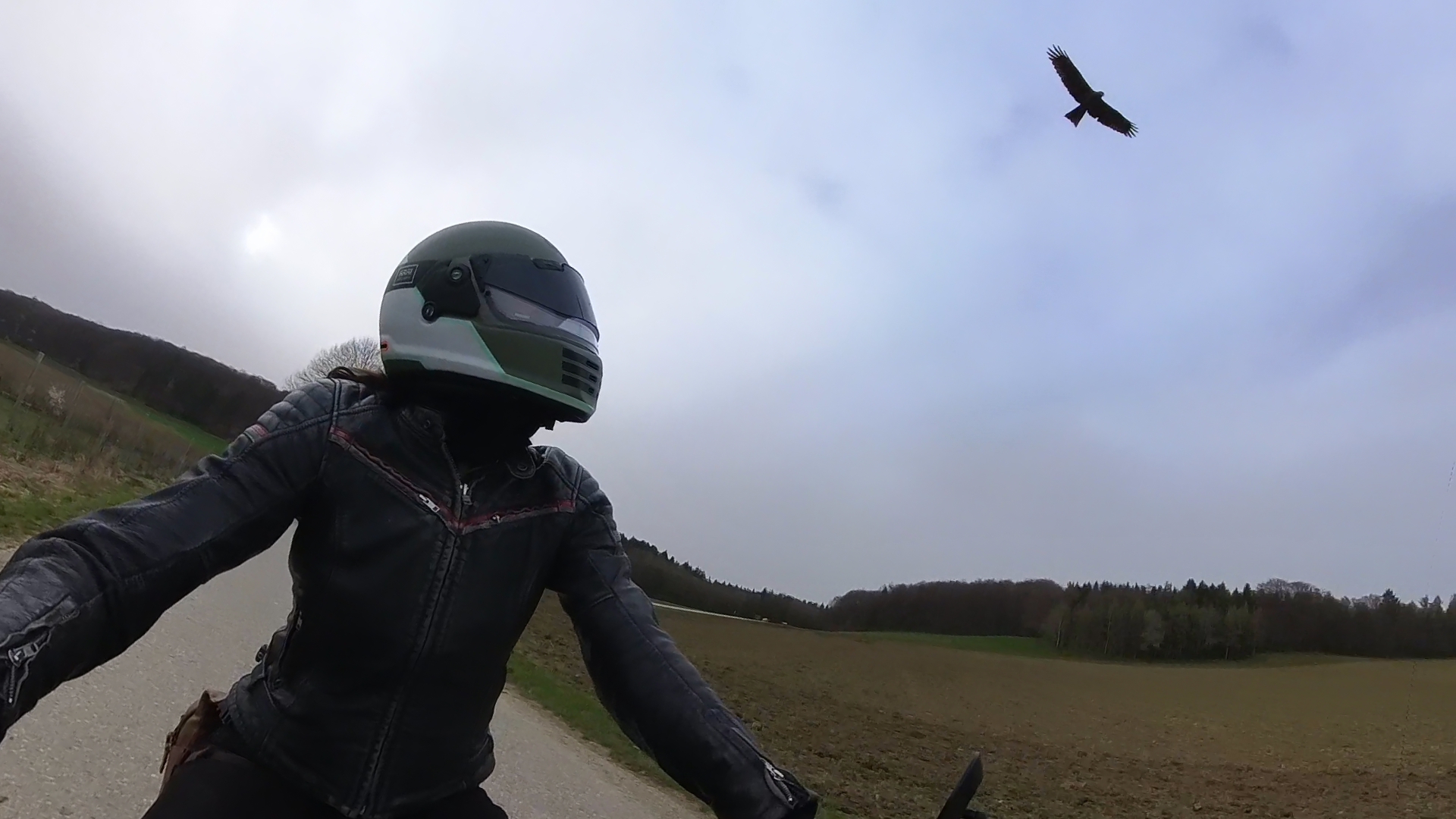 VID 20240330 174210 00 008 2024 03 30 22 42 53 screenshot