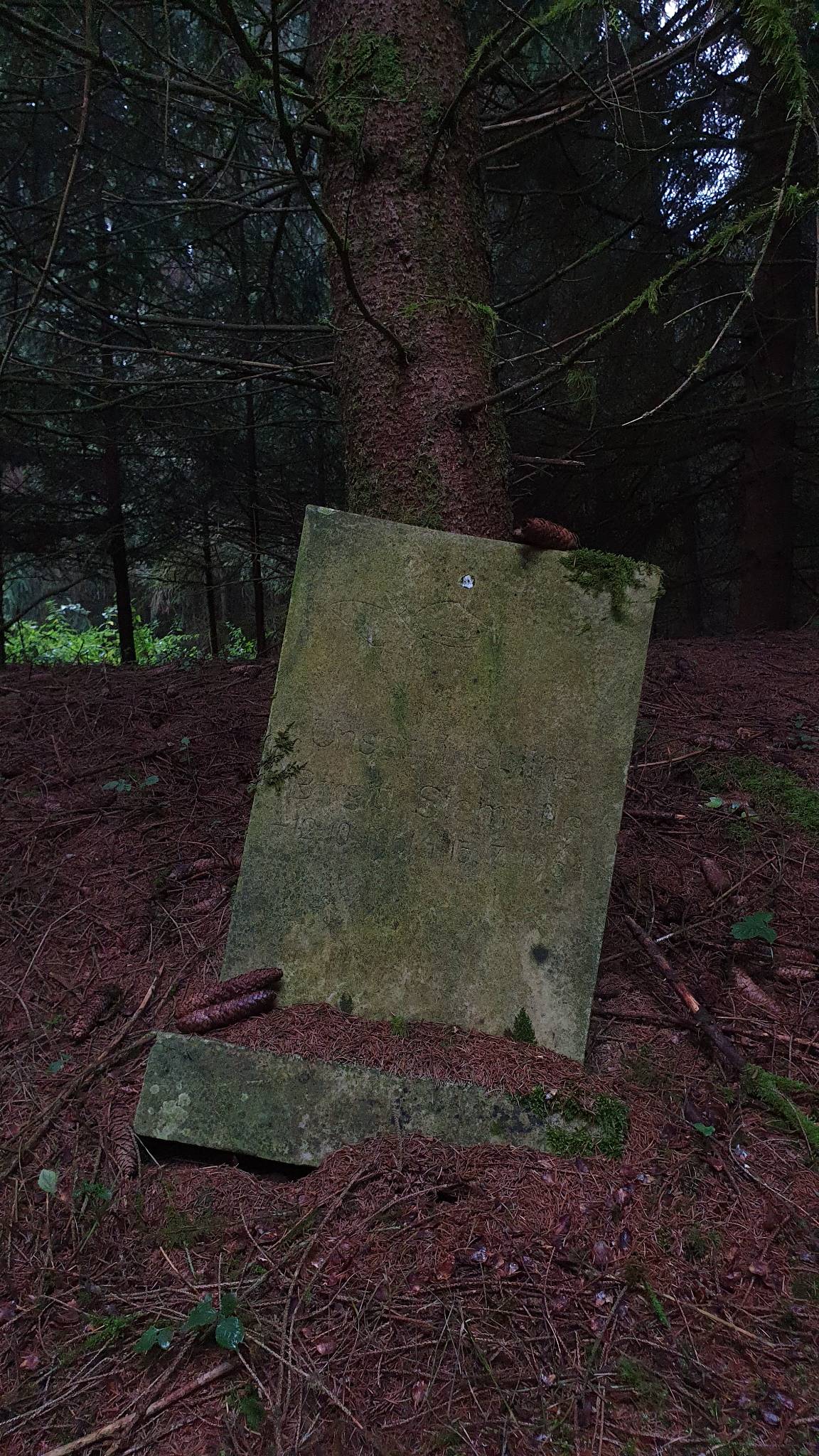 20261018 151540